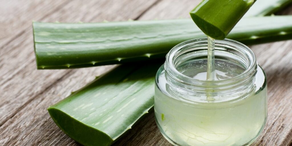 Aloe vera, pour embellir la peau et les cheveux